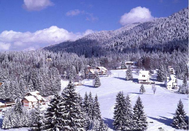 Poiana Brasov, Aparthotel 609,Alpin Luaran gambar